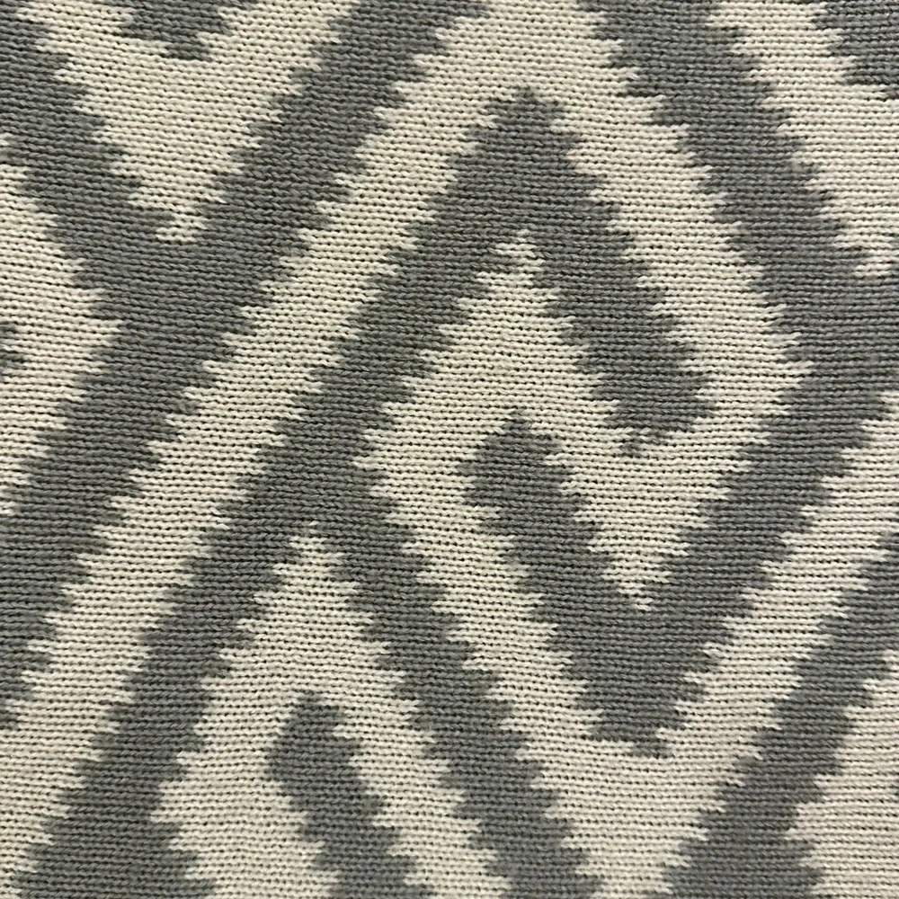 West Elm Super Soft Woven Throw Blanket